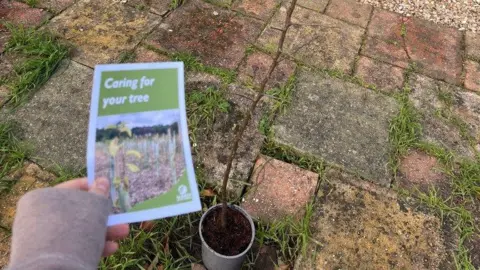 A hand holds a leaflet saying 'caring for your tree' in front of a potted sapling 