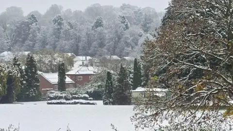 Snow-covered field and trees in Grantham, with white-topped houses in the background.