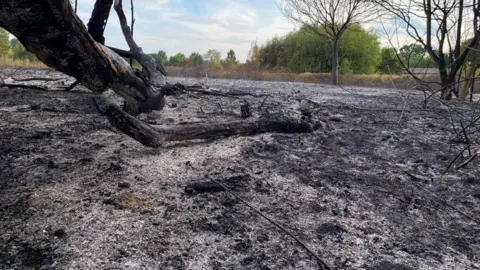 West Midlands Fire Service An area of grass and trees completely blackened by fire. It has soot scattered everywhere and is crisp