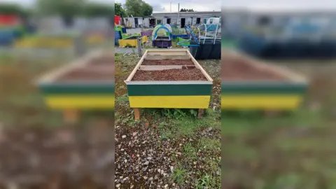 Rooted in Hull Rooted in Hull have sown wildflower seed in a container