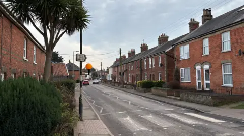 Johnnie Wright/BBC Red-brick homes in a road in Leiston. There is a palm tree on the left hand side and a pedestrian crossing. It is a cloudy, overcast day. 