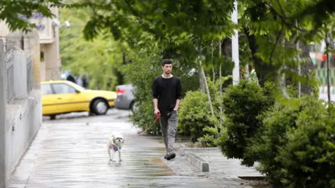  ATTA KENARE/AFP/Getty Images Man walks his dog in Tehran, May 2018