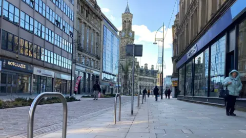 BBC Metal bike security hoops sticking up from a pavement in a long pedestrianised street leading to an ornate 19th century city hall tower in the distance.  