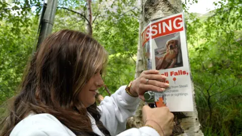 Ellie, left, staples a poster to a tree in a forest area. The poster has a picture of her dog Louie and text saying 'missing'.
