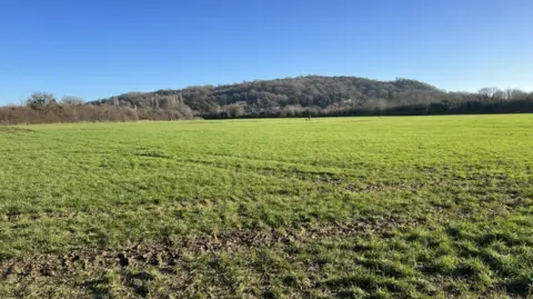 BBC Blackbridge field 