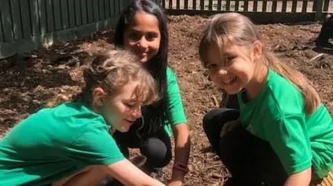 Animal News Agency  Three children stroking a pig, wearing a green tops