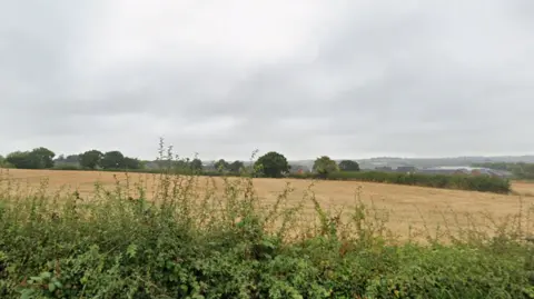 Green hedge with a field beyond, and grey sky above