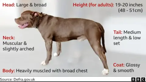 DEFRA XL Bully dog chart