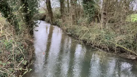 A narrow river with brown, murky water, flanked on both sides by dense trees and bushes.