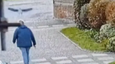 A man in a blue coat, and blue jeans, walking away from the camera, with a hawk flying above his head, there are bushes and a  grass area to the left. The image is grainy as it has come from a home security system. 