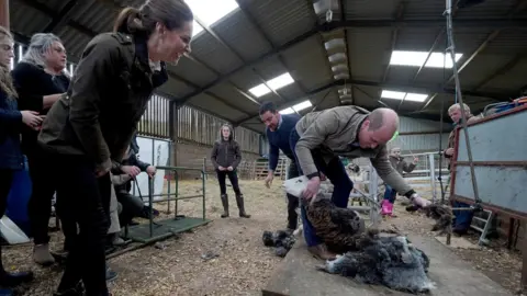 PA Prince William shearing a sheep