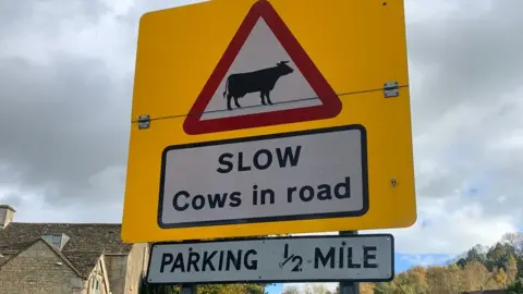 Slow cows in road sign