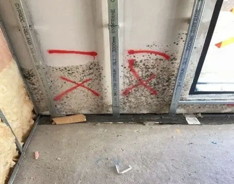 mouldy plasterboard wall panels