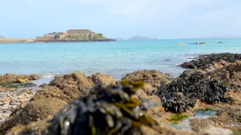 BBC St Peter Port looking over Castle Cornet. Rocks and and seaweed line the shore next to the water. The castle can be seen in the distance.