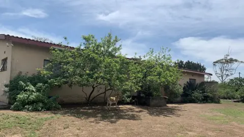 A home in a rural area