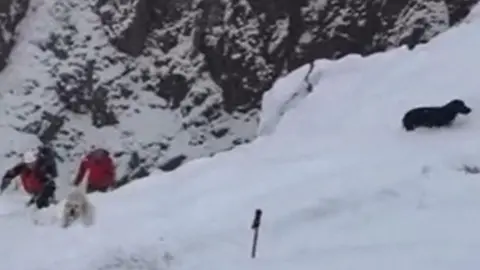 Wasdale Mountain Rescue Mr Longton's dogs being rescued