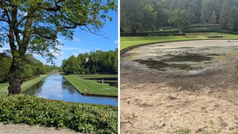 National Trust Composite image showing lush green trees and long shallow ponds full of water, next to a brown pond bed with a little puddle in it.