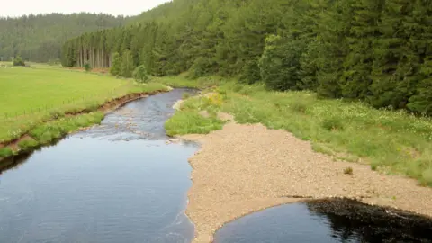 A river in the Borders with a stretch of dry bed visible and trees and grassland along its banks