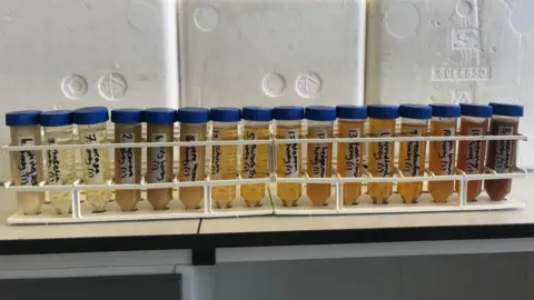 Cranfield University A row of tubes with different types of honey in them with labels written on them