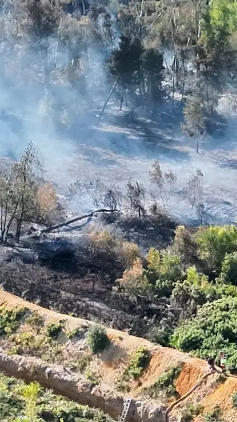 Drone shot of burnt heathland