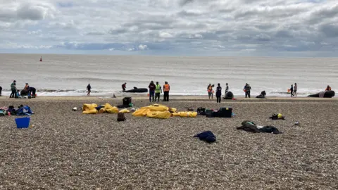 Jenny Kirk/BBC Whale rescue training exercise on Sizewell beach