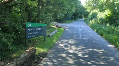 A road surrounded by trees. On the grass verge is a sign reading Abbot's Wood and Forestry England.
