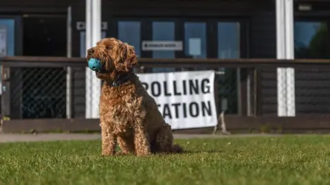 A golden coloured dog sat on well trimmed grass which looks like a cricket field. the dog is holding a ball in its mouth. Behind the dog is a big white sign with polling station written in black capital letters tied to a fence.