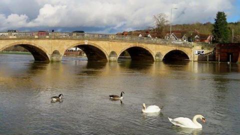 Henley Bridge over the River Thames. Swans are in the foreground. The 'H' graffiti tag can be glimpsed on the far right of the bridge.