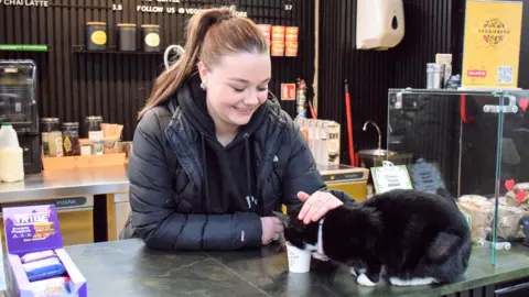 South Western Railway Tilly, a black cat with white paws, sat on a kitchen worktop with her face in a cup. A woman is stroking her