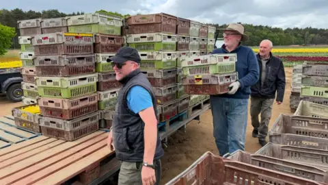 Three men with crates of flowers. There is a field full of tulips behind them.