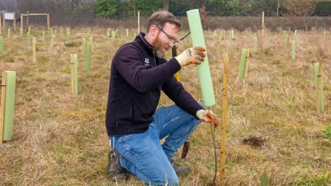 National Trust A man wearing jeans and a black top kneeling over a very small tree, while placing a tree guard over it 