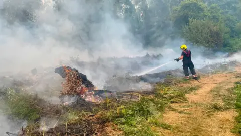 Peterborough Volunteer Fire Brigade A firefighter douses flames in undergrowth, which is completely charred and smoky to the left of the image, while he stands on grassland.