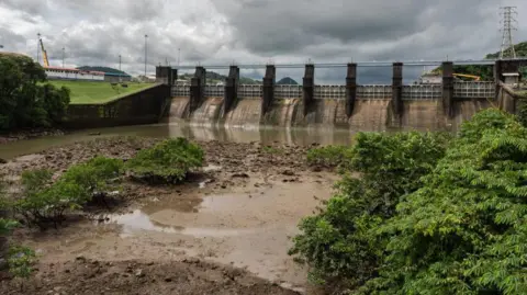 Getty Images A muddy bank with foliage and minimal water is seen in the foreground, with a shallow body of water and closed locks in the background.