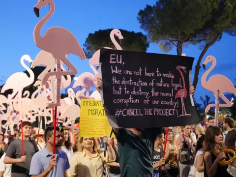 A crowd of protestors hold flamingo-shaped picket-signs. Another carries a sign which calls for the project to be cancelled. 