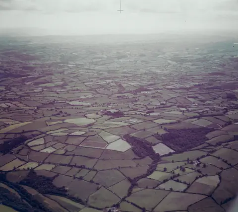 University of Cambridge Meifod