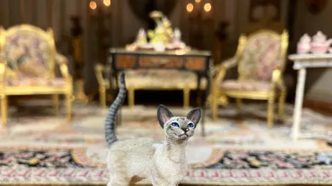Olivia Richwald/BBC A replica model of a siamese cat inside a doll's house. A miniature lounge set is in the background. 