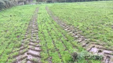 Tractor tyre tracks in a mucky field