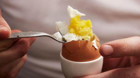 file image of a boiled egg