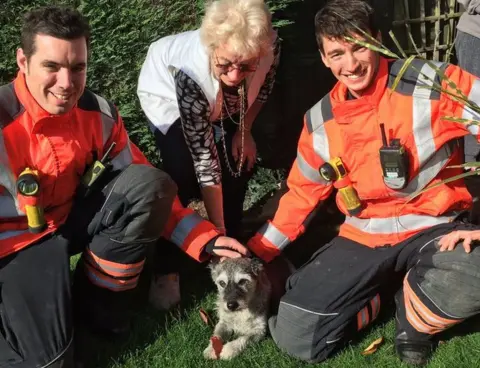 Cambs Fire and Rescue Dog after being rescued