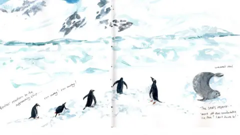 Claudia Myatt Drawings of penguins and a seal