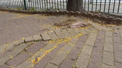 Pushed up paving
