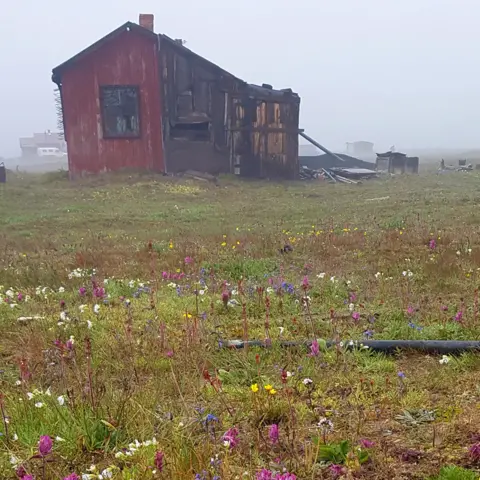 Juliet Rix Doubtful Bay