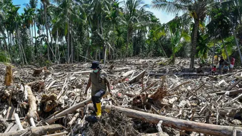Getty Images A person in yellow gumboots, a brimmed hat and a face mask walks through the debris of a flattened forest, while palm trees stand in the background