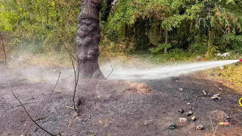 Leicestershire Fire and Rescue Service A tree, which is burnt at the bottom, being sprayed with water. 