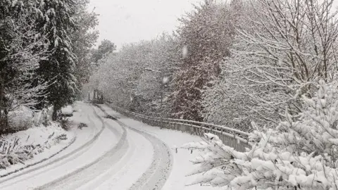 BBC Weather Watchers/Stargazer A road with car tracks through heavy snow cover. Snow-covered trees border each side of the narrow road