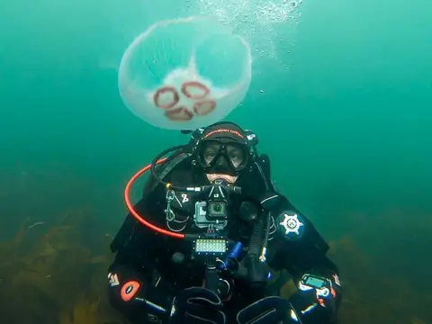 R.S. McLaren Photography Ross McLaren in scuba diving kit underwater. There is a moon jellyfish above his head. 
