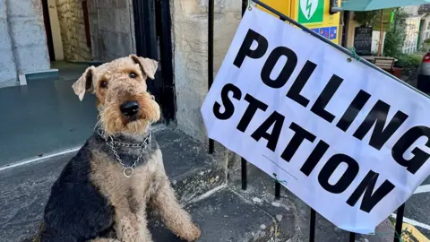 Handout photo issued by Niall Cook of Margo the Airedale Terrier, outside a polling station in Gloucestershire