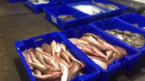 Kilkeel fish market