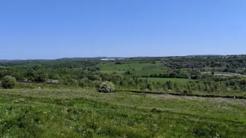 Large grassland at Aykley Heads Nature Reserve. 