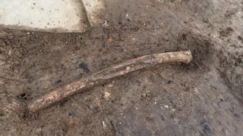 BBC Arm bone in the ground